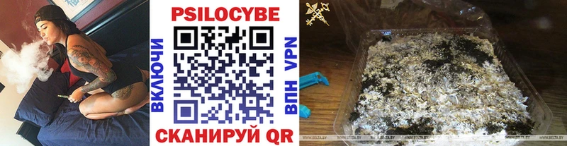 Галлюциногенные грибы MAGIC MUSHROOMS  сайты даркнета клад  Малаховка  цена  